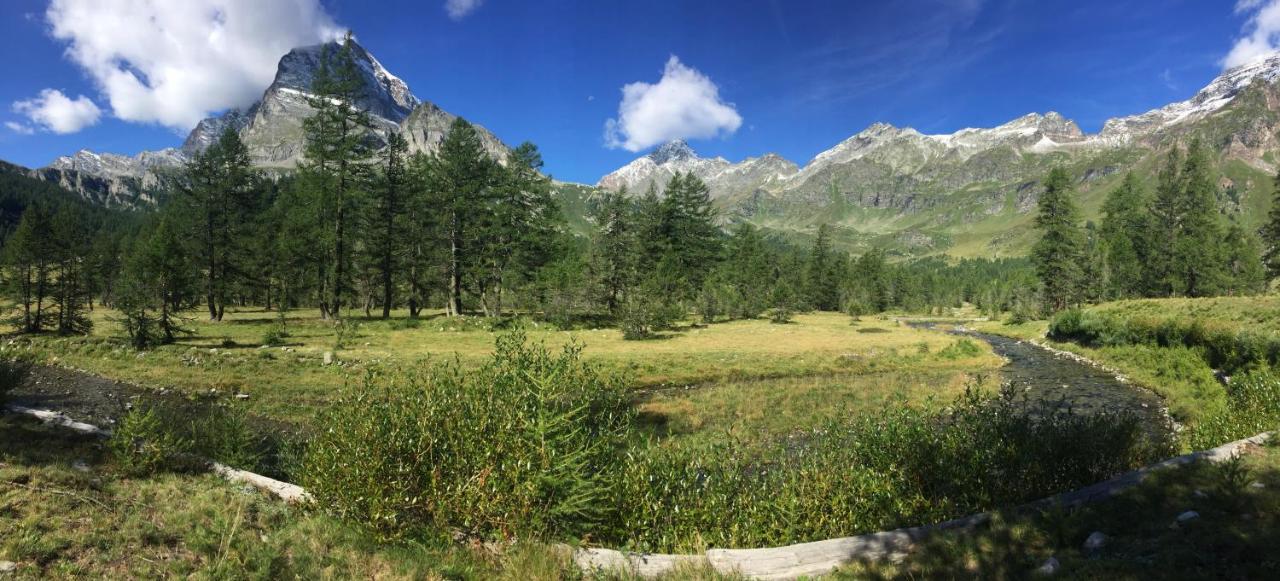 Casa Vacanza In Tipico Chalet Di Montagna Βίλα Springwood Εξωτερικό φωτογραφία