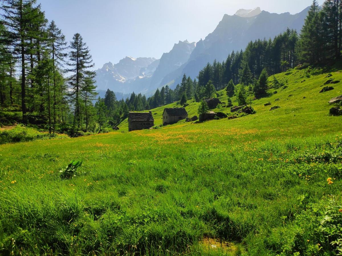 Casa Vacanza In Tipico Chalet Di Montagna Βίλα Springwood Εξωτερικό φωτογραφία